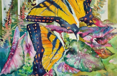 Butterfly Pair, 48"w x 60"h, $4300