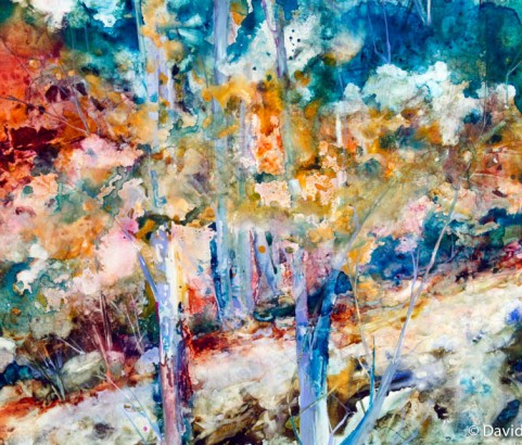 Light in the Forest, 45"w x 31"h, $2200
