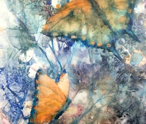 Butterfly Dream, 20" x 29", $800